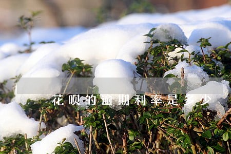 花呗的逾期利率是多少 花呗的逾期利率是多少