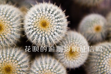 花呗的逾期影响征信吗 花呗的逾期影响征信吗