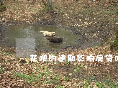 花呗的逾期影响房贷吗 花呗的逾期影响房贷吗