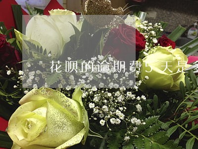 花呗的逾期费5天是多少 花呗的逾期费5天是多少