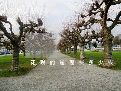 花呗的逾期费多少钱 花呗的逾期费多少钱