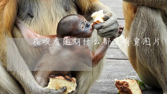 花呗看逾期什么都没有穿图片 花呗看逾期什么都没有穿图片