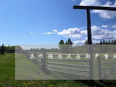花呗短信说逾期严重发律师函 花呗短信说逾期严重发律师函