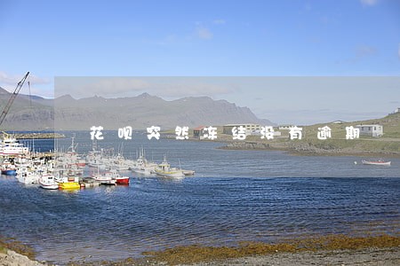 花呗突然冻结没有逾期 花呗突然冻结没有逾期