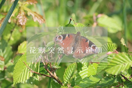 花呗突然显示逾期 花呗突然显示逾期