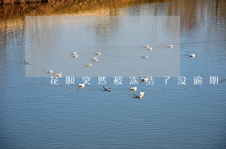 花呗突然被冻结了没逾期 花呗突然被冻结了没逾期