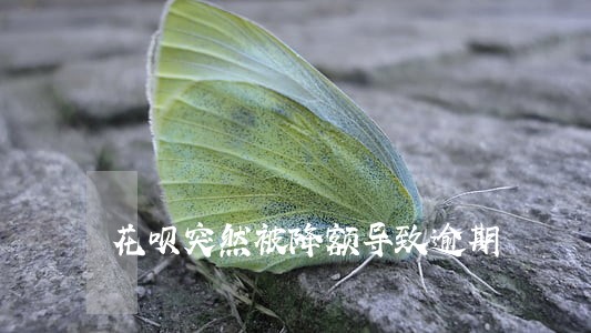 花呗突然被降额导致逾期 花呗突然被降额导致逾期