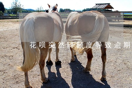 花呗突然降额度导致逾期