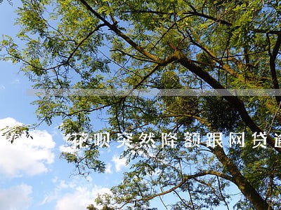 花呗突然降额跟网贷逾期有关系吗 花呗突然降额跟网贷逾期有关系吗