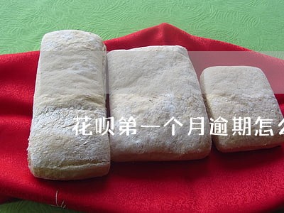 花呗第一个月逾期怎么办 花呗第一个月逾期怎么办