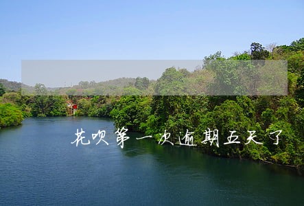 花呗第一次逾期五天了 花呗第一次逾期五天了