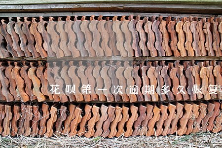 花呗第一次逾期多久恢复 花呗第一次逾期多久恢复