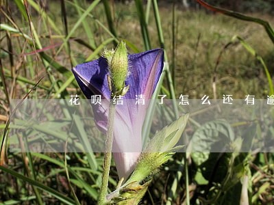 花呗结清了怎么还有逾期记录 花呗结清了怎么还有逾期记录