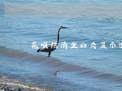 花呗结清坐公交显示逾期 花呗结清坐公交显示逾期