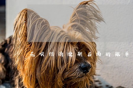 花呗结清逾期后面的账单 花呗结清逾期后面的账单