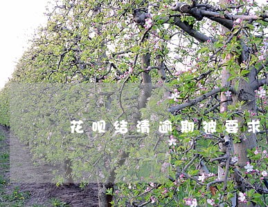 花呗结清逾期被要求一次性结清 花呗结清逾期被要求一次性结清