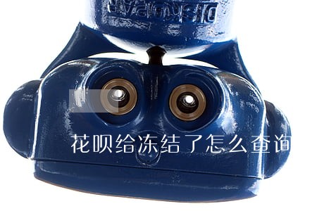 花呗给冻结了怎么查询哪里逾期 花呗给冻结了怎么查询哪里逾期
