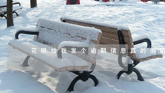 花呗给我发个逾期信息真的假的 花呗给我发个逾期信息真的假的