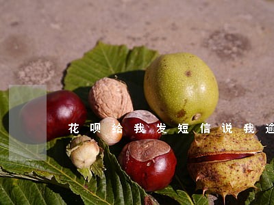 花呗给我发短信说我逾期枪长 花呗给我发短信说我逾期枪长