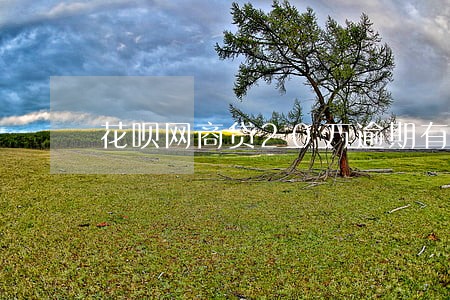 花呗网商贷20万逾期有什么后果 花呗网商贷20万逾期有什么后果