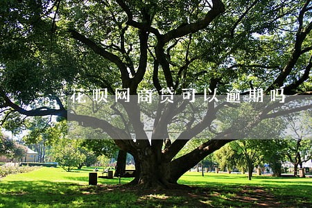 花呗网商贷可以逾期吗 花呗网商贷可以逾期吗