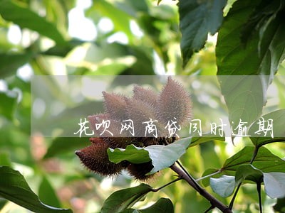 花呗网商贷同时逾期 花呗网商贷同时逾期