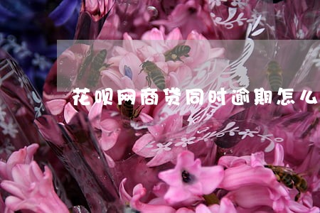花呗网商贷同时逾期怎么还款 花呗网商贷同时逾期怎么还款