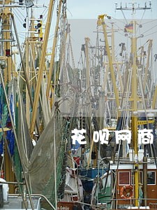 花呗网商贷没有逾期怎么降额了 花呗网商贷没有逾期怎么降额了