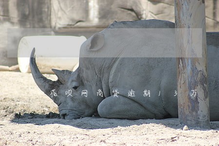 花呗网商贷逾期13万