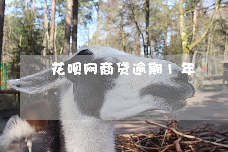 花呗网商贷逾期1年 花呗网商贷逾期1年
