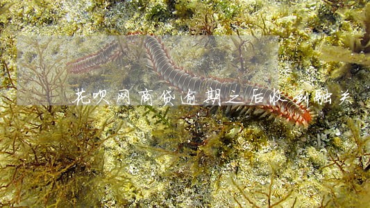 花呗网商贷逾期之后收到融关 花呗网商贷逾期之后收到融关