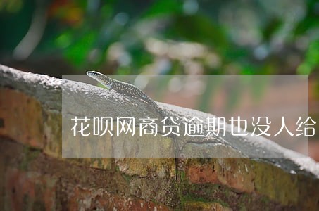花呗网商贷逾期也没人给我打电话 花呗网商贷逾期也没人给我打电话