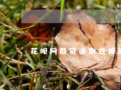 花呗网商贷逾期会被起诉吗 花呗网商贷逾期会被起诉吗