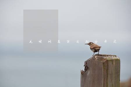 花呗网商贷逾期分开还 花呗网商贷逾期分开还
