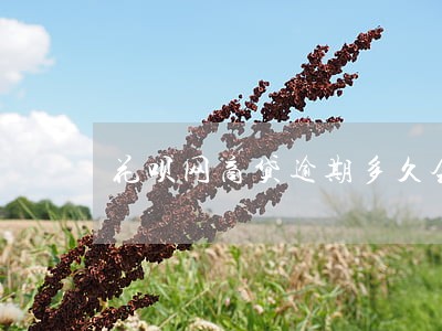 花呗网商贷逾期多久会上征信 花呗网商贷逾期多久会上征信