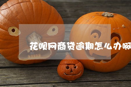 花呗网商贷逾期怎么办啊 花呗网商贷逾期怎么办啊