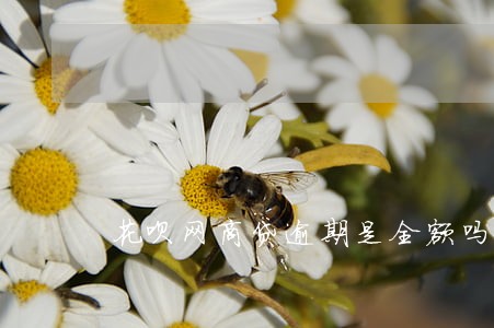 花呗网商贷逾期是全额吗 花呗网商贷逾期是全额吗