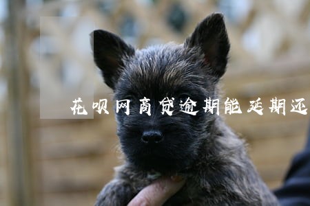 花呗网商贷逾期能延期还款吗 花呗网商贷逾期能延期还款吗