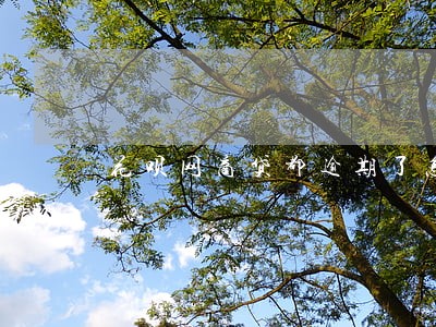 花呗网商贷都逾期了怎么办 花呗网商贷都逾期了怎么办