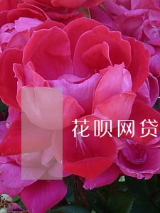 花呗网贷怎么样算是逾期 花呗网贷怎么样算是逾期