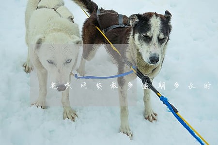 花呗网贷最多逾期多长时间 花呗网贷最多逾期多长时间