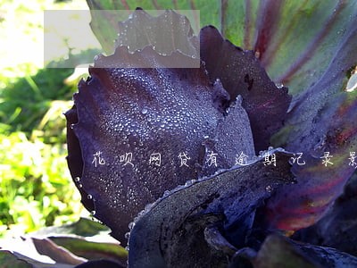 花呗网贷有逾期记录影响买房吗 花呗网贷有逾期记录影响买房吗