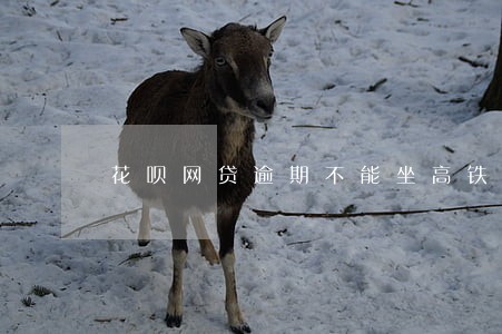 花呗网贷逾期不能坐高铁和飞机吗