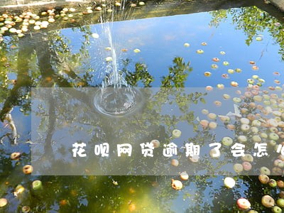 花呗网贷逾期了会怎么样2020 花呗网贷逾期了会怎么样2020