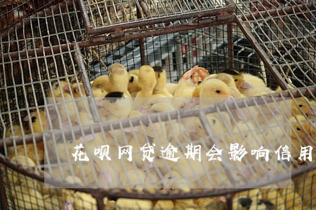 花呗网贷逾期会影响信用卡吗 花呗网贷逾期会影响信用卡吗