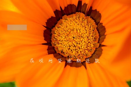 花呗网贷逾期还款 花呗网贷逾期还款