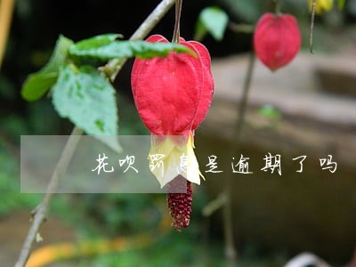 花呗罚息是逾期了吗 花呗罚息是逾期了吗