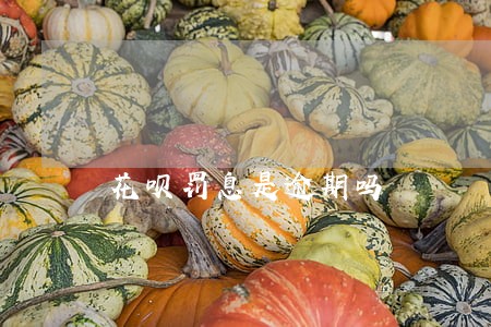 花呗罚息是逾期吗 花呗罚息是逾期吗