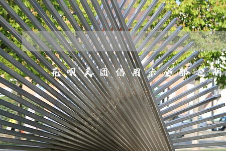 花呗美团信用卡全部逾期 花呗美团信用卡全部逾期