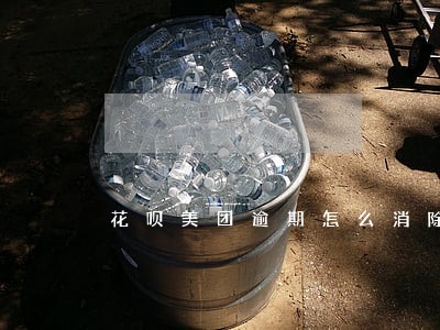 花呗美团逾期怎么消除 花呗美团逾期怎么消除